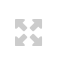 ic_btn_square_browser_zoom_page_overview_disabled.png